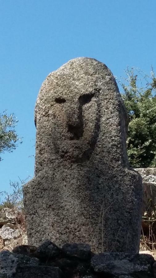 Petreto-Bicchisano Corsica Monti Gite Appart מראה חיצוני תמונה