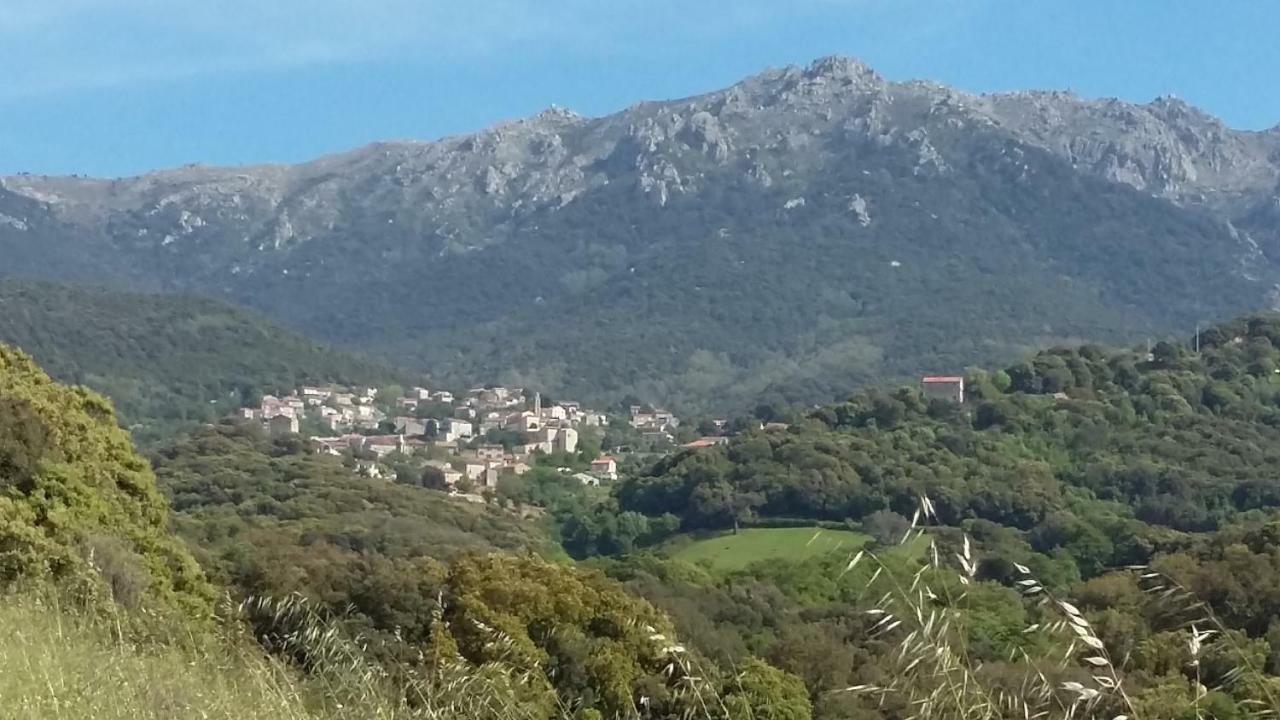 Petreto-Bicchisano Corsica Monti Gite Appart מראה חיצוני תמונה